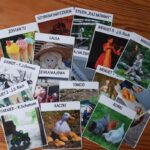 Karty - Losy do I książki Suzuki - zdjęcia - skrzypce